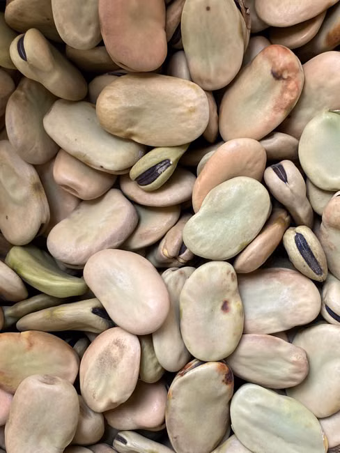 Legumes Frescos (kg)
